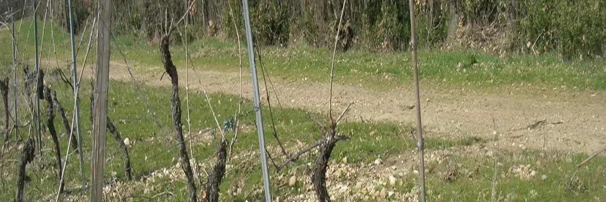 image-installation-carport-solaire-lagrave.webp Image Installation carport solaire Lagrave