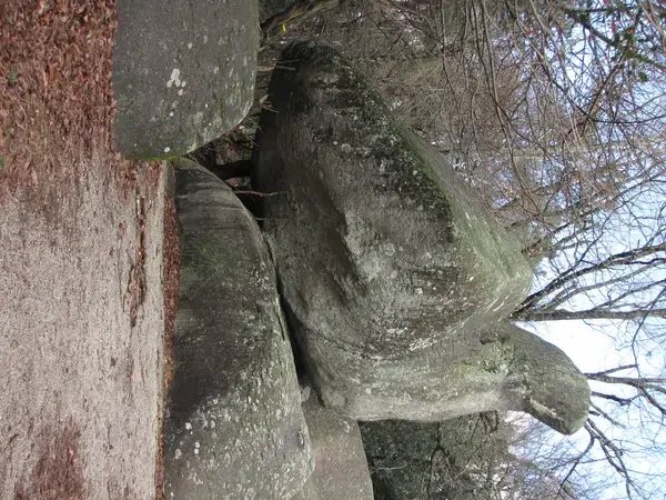 Carport Solaire 81 Installation carport solaire Lacrouzette