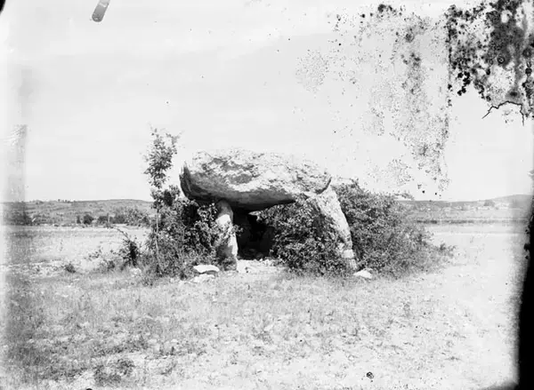 Carport Solaire 81 Installation carport solaire Sainte-Cécile-du-Cayrou